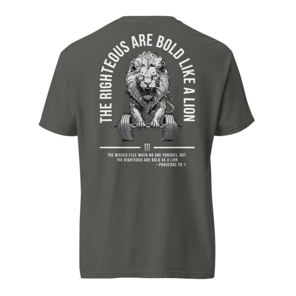 Bold as a lion shirt in grey