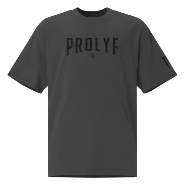 PROLYF Embroidered Oversized faded t-shirt