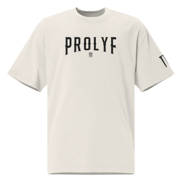 PROLYF Embroidered Oversized faded t-shirt