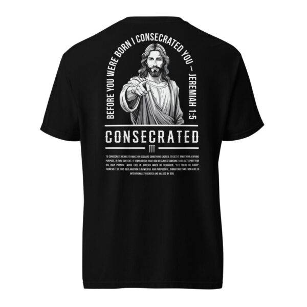 PROLYF Consecrated heavyweight t-shirt