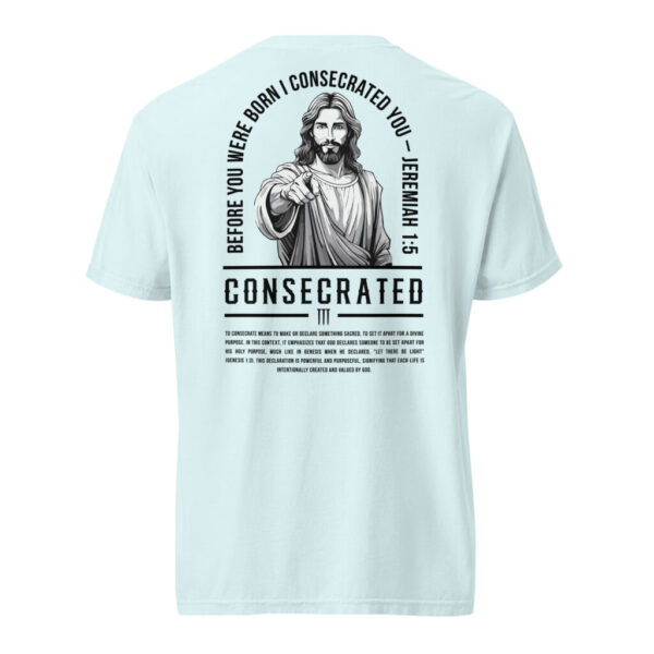 PROLYF Consecrated heavyweight t-shirt